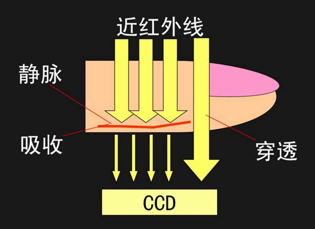  静脉识别中滤光片的工作方式