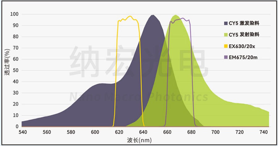 CY5通道滤光片组