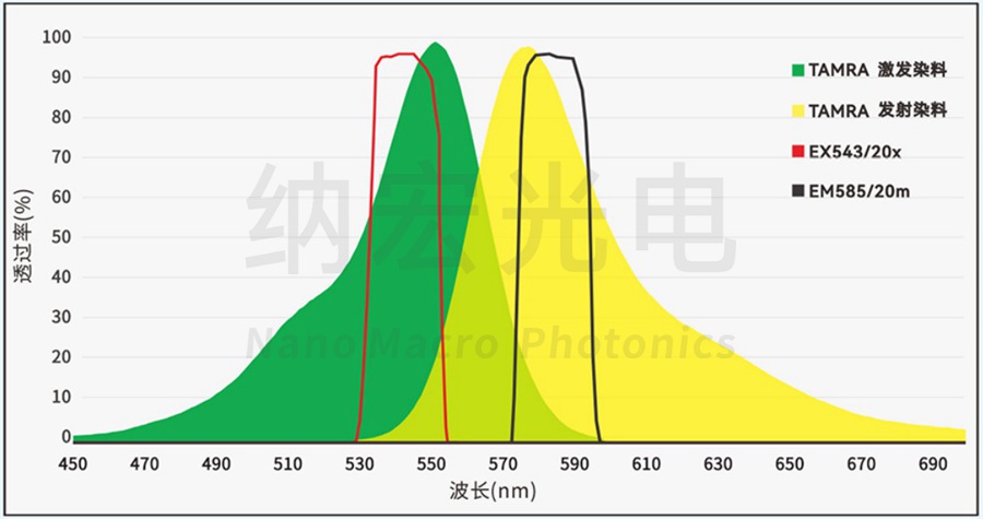 TAMRA通道滤光片组