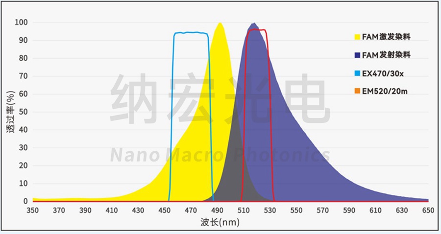 FAM通道滤光片组