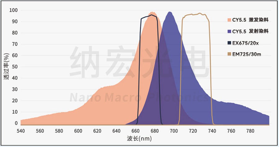 CY5.5通道滤光片