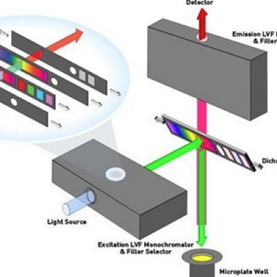 酶标仪使用光栅和滤光片的区别比较
